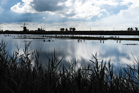 Landschap in de Munnikenpolder