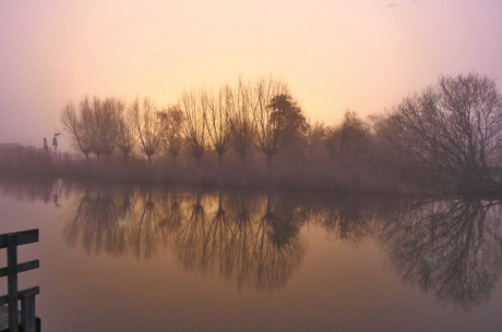 Mistig in Westlands licht