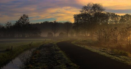 Le chemin.