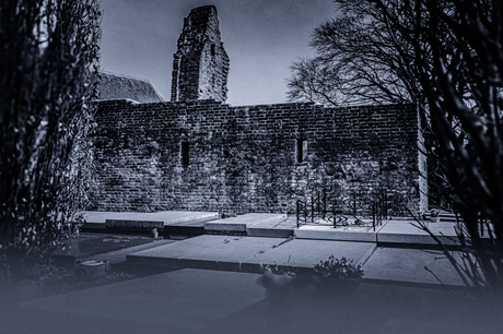 In de schaduw van het gesternte