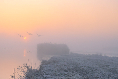 Winterochtend