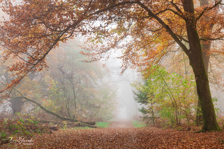 herfst herinneringen