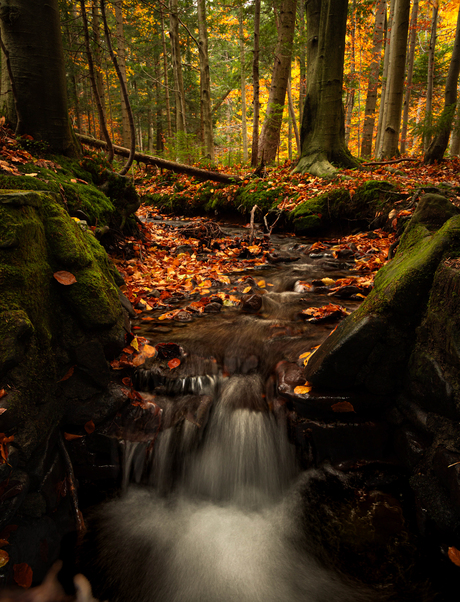 Waterval Nationaal Park Babia Góra