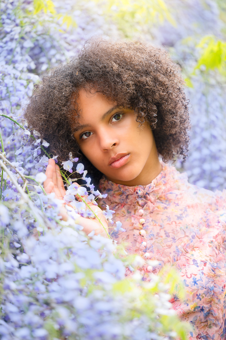 Wisteria whispers what hearts can't say