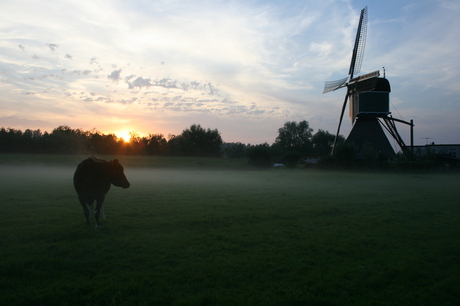 weijpoortse molen