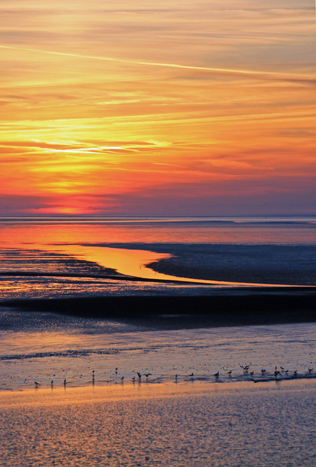 Avond op het wad