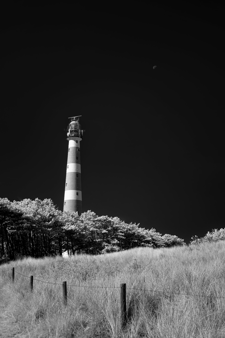 Vuurtoren Ameland