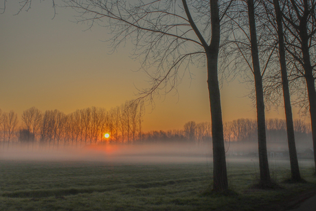 Mist in Brabant