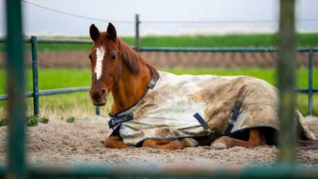 lenstest |Sigma 70-200 | F2.8