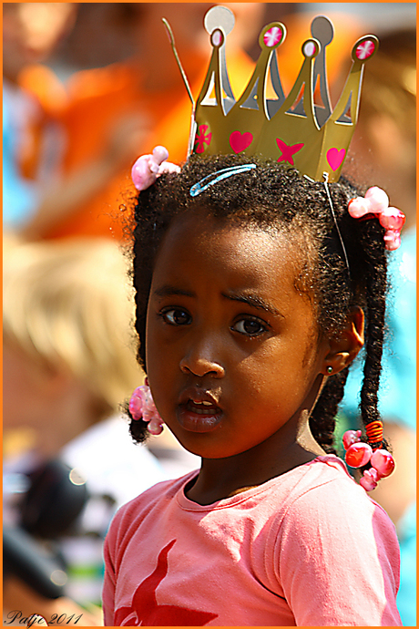 Koninginnendag 2011. 1