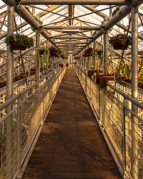 Kas in Hortus Botanicus