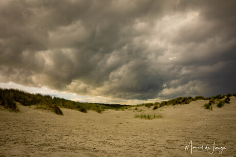 Schiermonnikoog