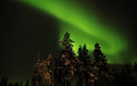 Noorderlicht.