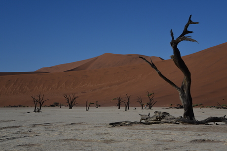 Death Valley 