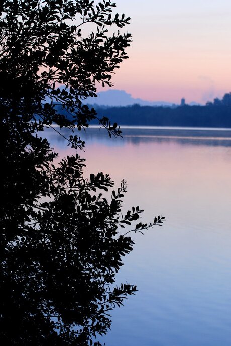 mooi friesland bij Drachten