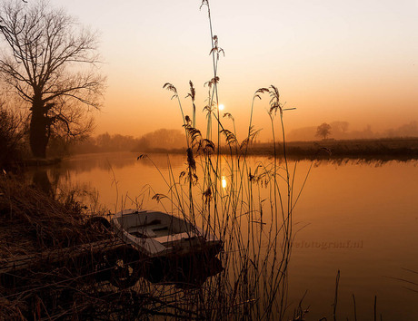 MMM---Misty Monday Morning
