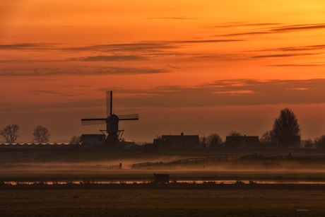 Mooi rood is niet lelijk