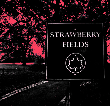 strawberry fields forever