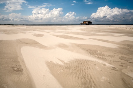 strand Schier