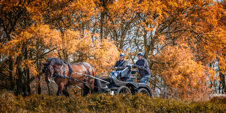 Met paard en wagen genieten van de herfst