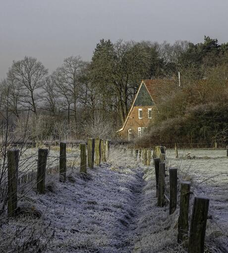 Winterochtend.