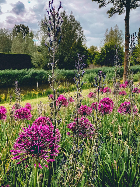 Gek op bloemen!