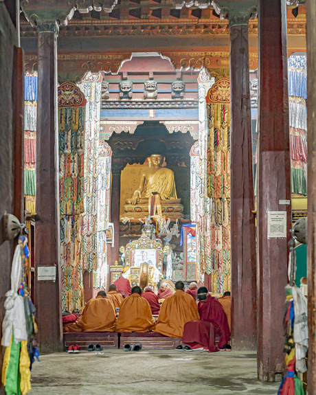 Monniken in Tibetaans klooster