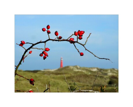 2009 Schiermonnikoog1