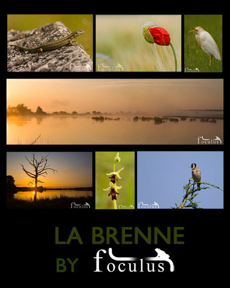 la brenne