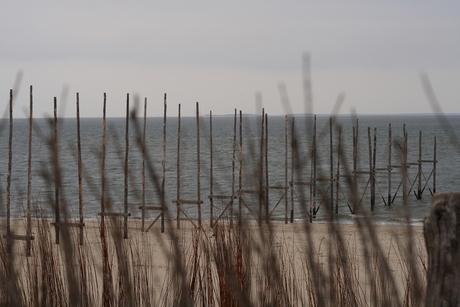 Texel, uitzicht op Vlieland