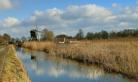 Trouwe Wachter, Tienhoven