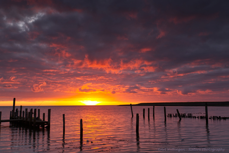 Kleurexplosie in de ochtend