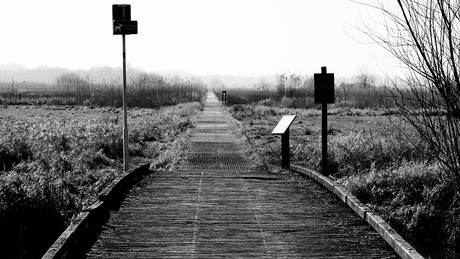 ergens in het midden 