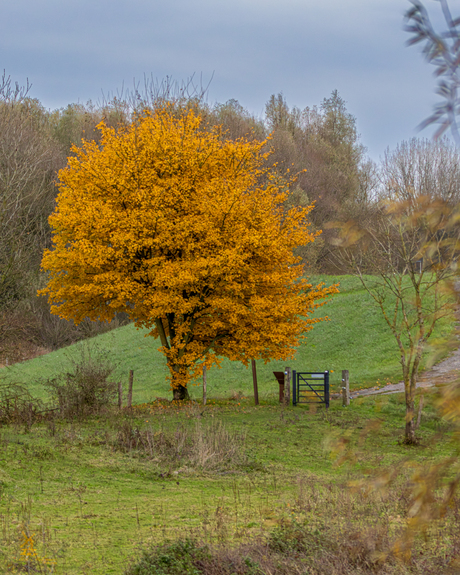 Herfst