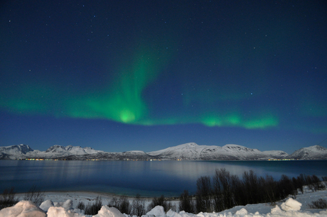 Tromso Noorderlicht