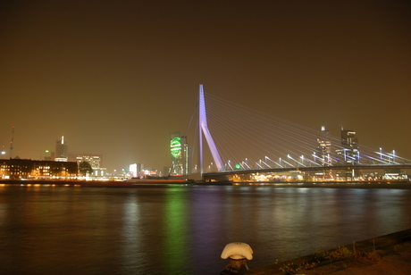 Erasmusbrug bij nacht