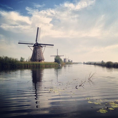 Kinderdijk