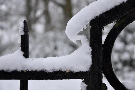 Hek in de sneeuw