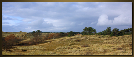 Duinen Schoorl