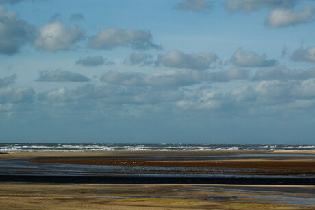 Texel De Schorren