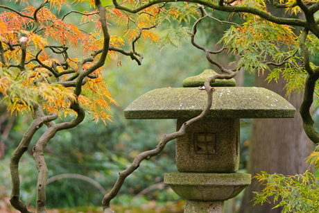 Japanse tuin