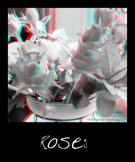 Roses 4 you