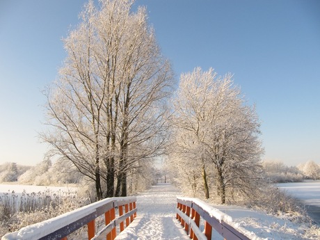 Naturpark Lelystad