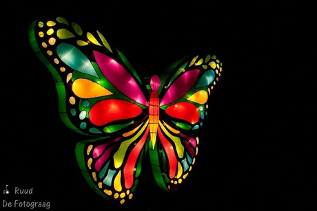 Butterfly in China light