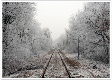 Winter in Dieren