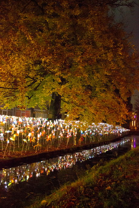 Herfstkleuren Glow