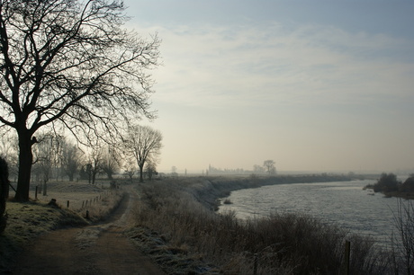 De maas bij de Maasband (Stein)