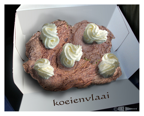 Koeienvlaai