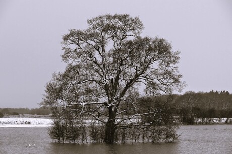 Winter en hoog water
