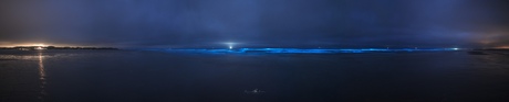 Bioluminescent Horizon